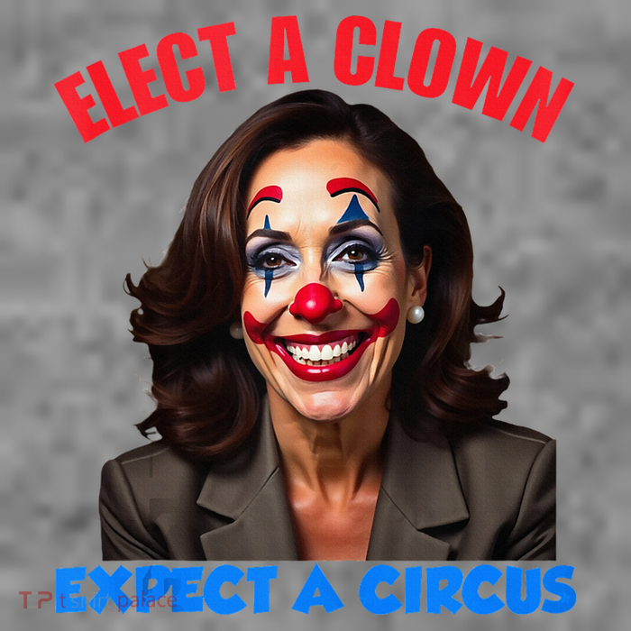 Elect A Clown Expect A Circus Kamala Lets Go Brenda 7-Panel Snapback Hat