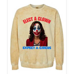 Elect A Clown Expect A Circus Kamala LetS Go Brenda Colorblast Crewneck Sweatshirt