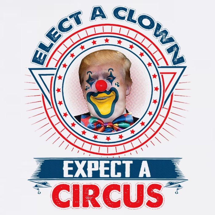 Elect A Clown Expect A Circus Funny Antitrump Cropped Pullover Crew