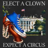 Elect A Clown Expect A Circus Funny Election Kamala Harris Adult Drive Performance Visor