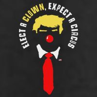 Elect A Clown Expect A Circus Funny Anti Trump Graphic 11oz C Handle Ceramic Mug