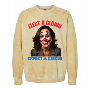 Elect A Clown Expect A Circus Colorblast Crewneck Sweatshirt