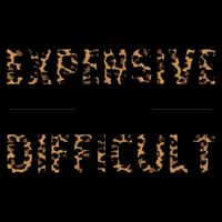 Expensive And Difficult Funny Sarcasm Humor Pom Pom 12in Knit Beanie