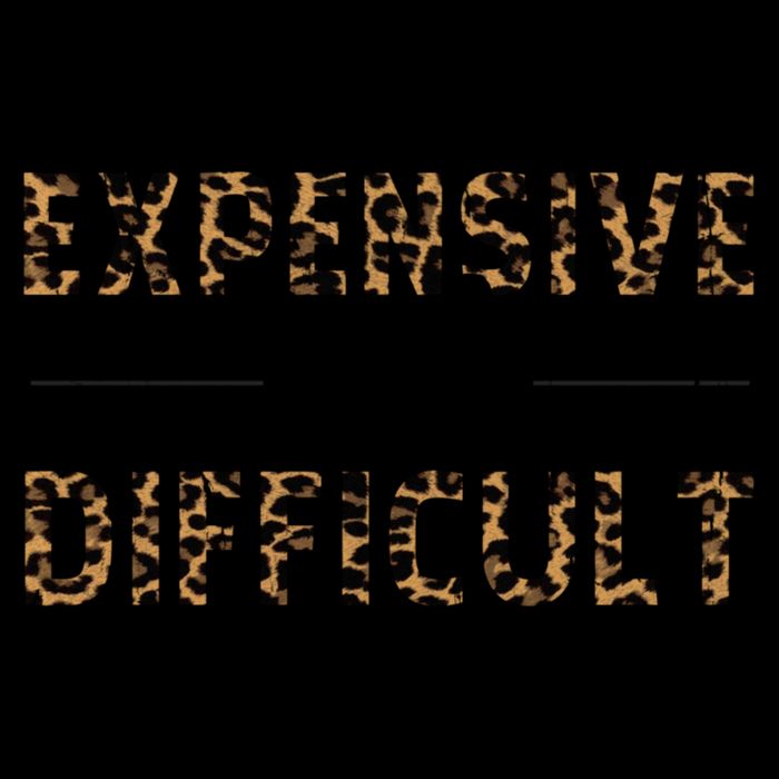 Expensive And Difficult Funny Sarcasm Humor Pom Pom 12in Knit Beanie