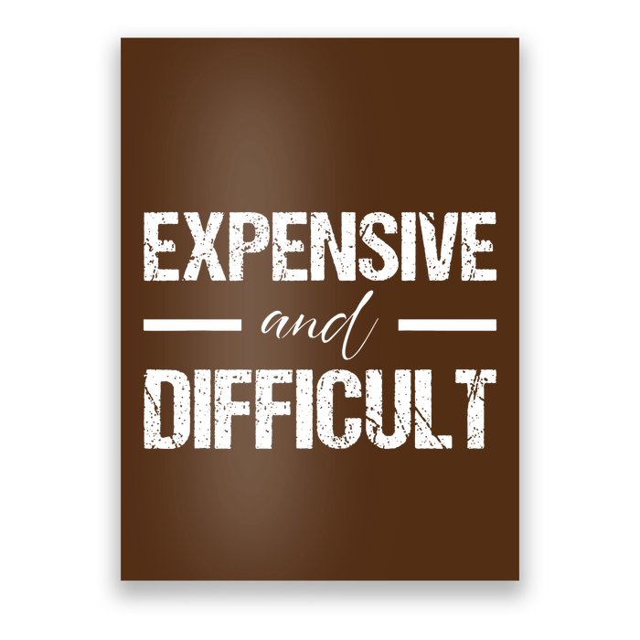 Expensive And Difficult Poster