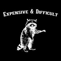 Expensive And Difficult Retro Funny Raccoon Backpack