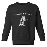 Expensive And Difficult Retro Funny Raccoon Toddler Sweatshirt