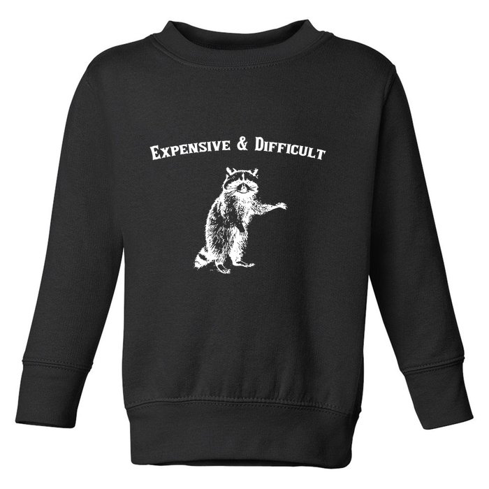 Expensive And Difficult Retro Funny Raccoon Toddler Sweatshirt
