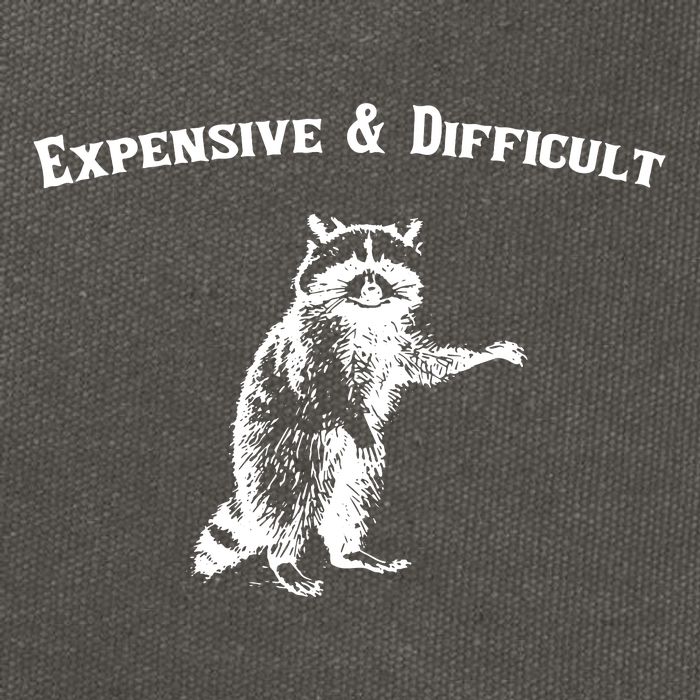 Expensive And Difficult Retro Funny Raccoon Cotton Canvas Backpack