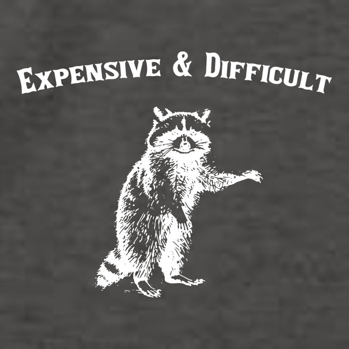 Expensive And Difficult Retro Funny Raccoon Vector Backpack