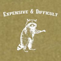 Expensive And Difficult Retro Funny Raccoon Garment-Dyed Women's Muscle Tee
