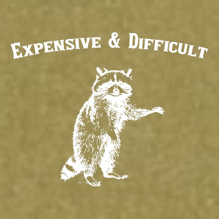Expensive And Difficult Retro Funny Raccoon Garment-Dyed Women's Muscle Tee