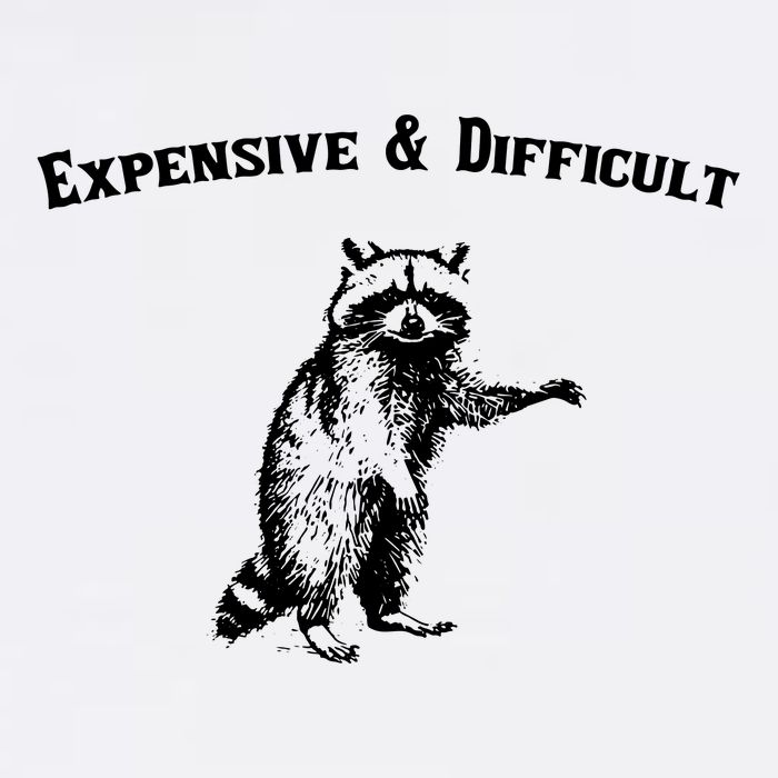 Expensive And Difficult Retro Funny Raccoon T-Shirt