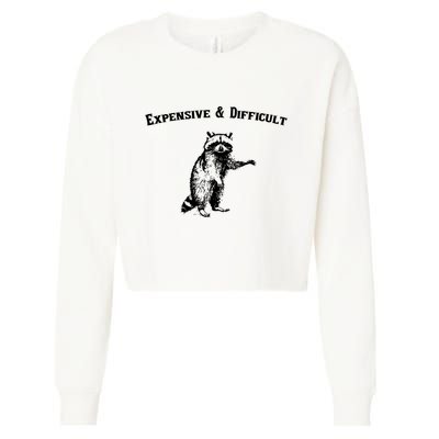Expensive And Difficult Retro Funny Raccoon Cropped Pullover Crew