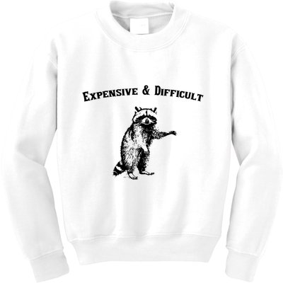 Expensive And Difficult Retro Funny Raccoon Kids Sweatshirt