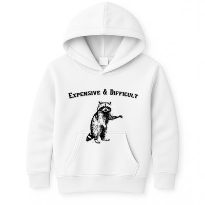 Expensive And Difficult Retro Funny Raccoon Kids Hoodie