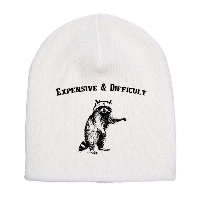 Expensive And Difficult Retro Funny Raccoon Short Acrylic Beanie