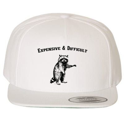 Expensive And Difficult Retro Funny Raccoon Wool Snapback Cap