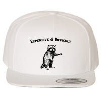 Expensive And Difficult Retro Funny Raccoon Wool Snapback Cap