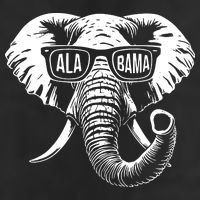 Elephant Alabama Adult Drive Performance Visor