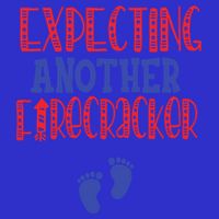 Expecting Another Firecracker Gift 16 in Basic Backpack