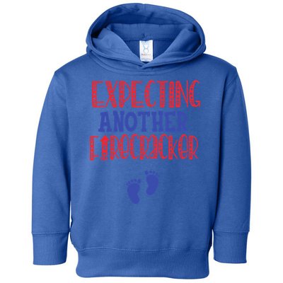 Expecting Another Firecracker Gift Toddler Hoodie