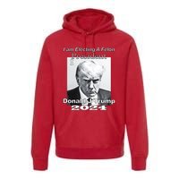 Electing A Felon President Donald J Trump Premium Hoodie