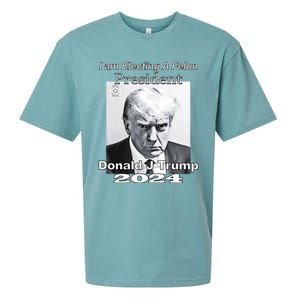 Electing A Felon President Donald J Trump Sueded Cloud Jersey T-Shirt