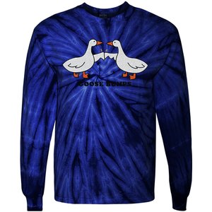 Embroidered Animal Goose Bumps Tie-Dye Long Sleeve Shirt