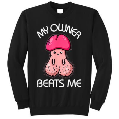 Embarrassing Adult Humor Inappropriate My Owner Beats Me Sweatshirt