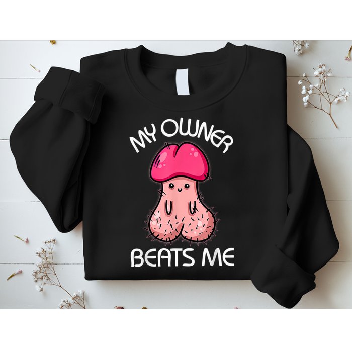 Embarrassing Adult Humor Inappropriate My Owner Beats Me Sweatshirt