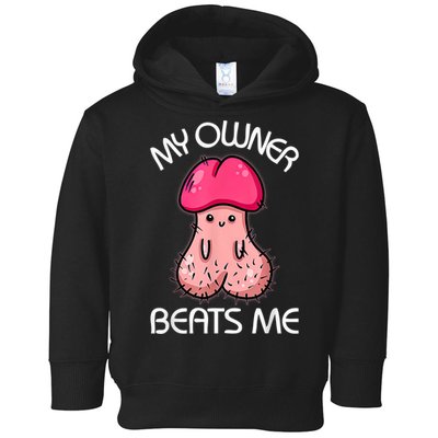 Embarrassing Adult Humor Inappropriate My Owner Beats Me Toddler Hoodie