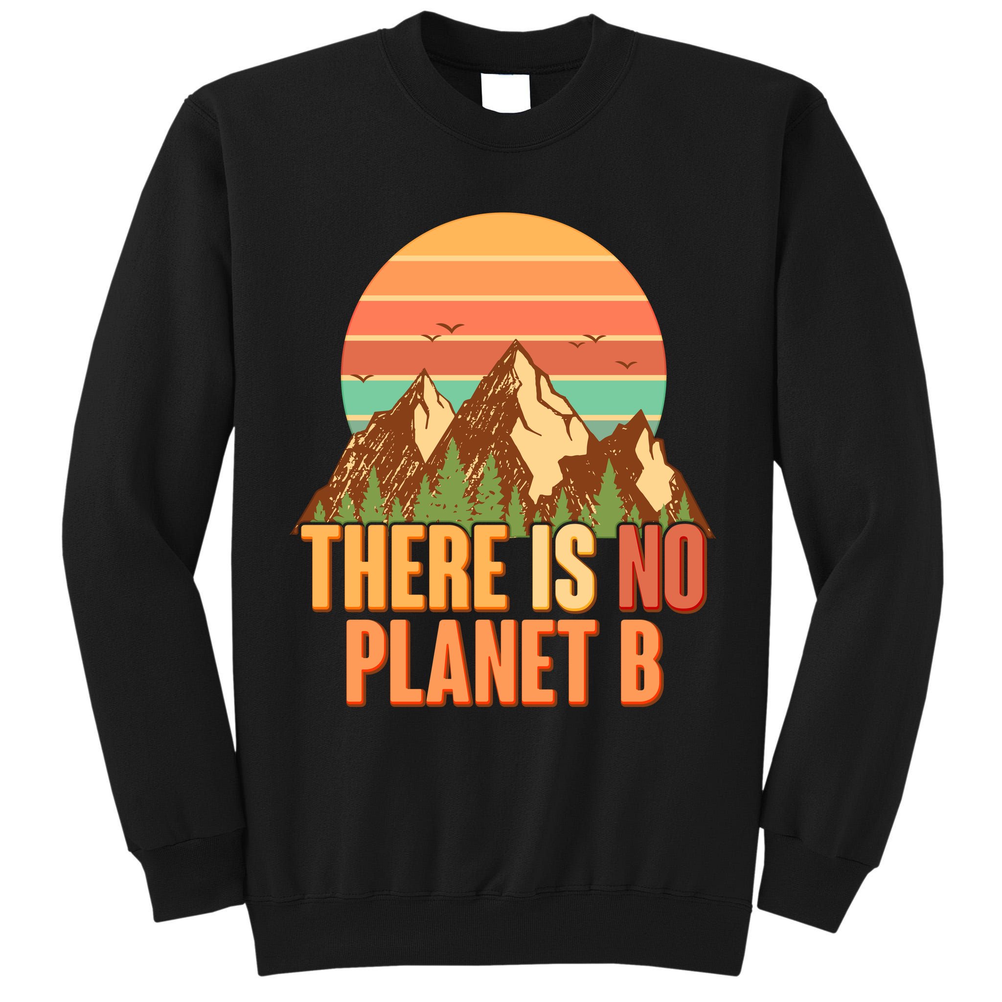 Earth Day There Is No Planet B Tall Sweatshirt