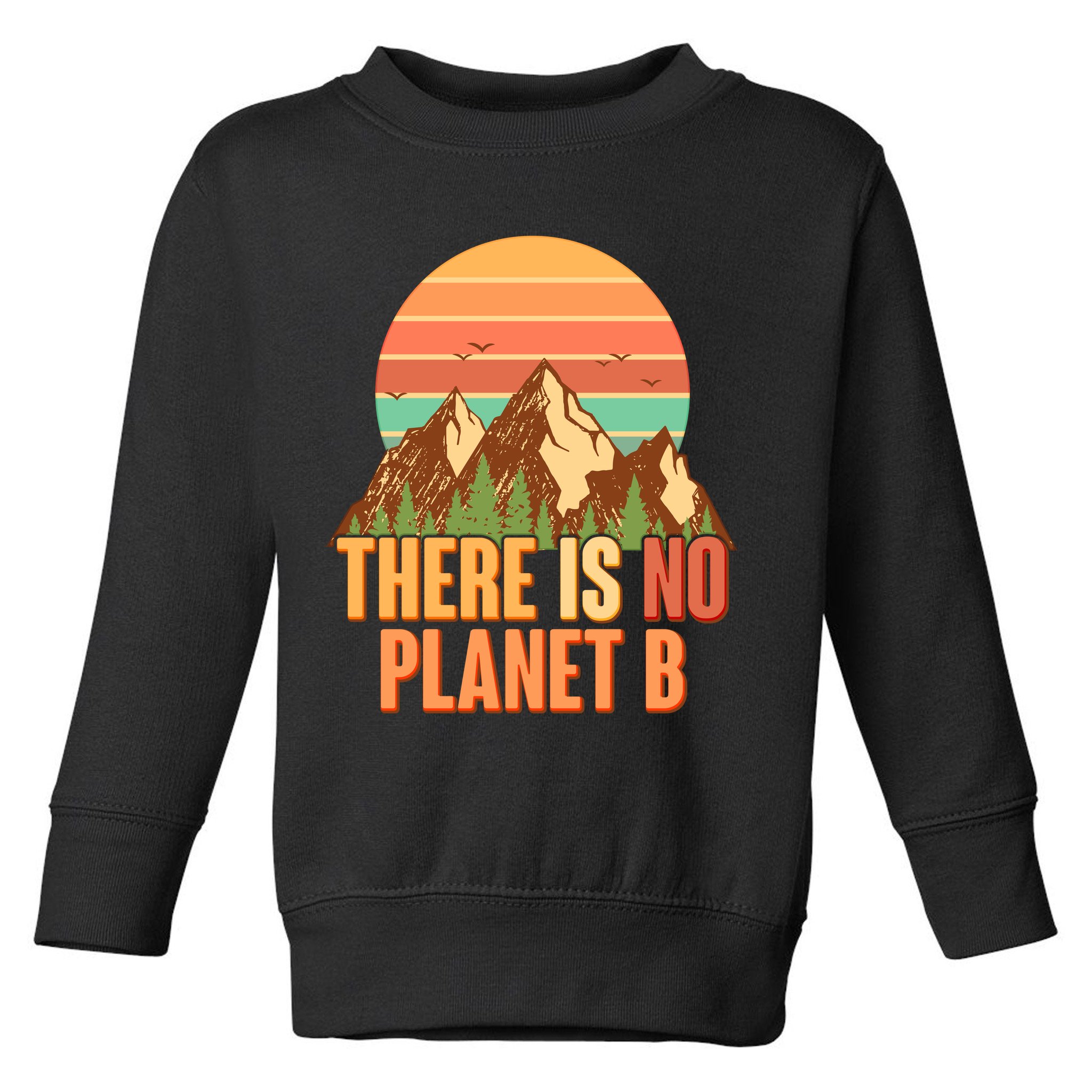 Earth Day There Is No Planet B Toddler Sweatshirt