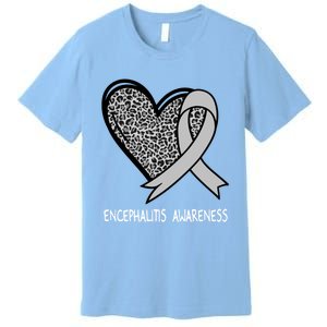 Encephalitis Awareness Silver Ribbon Funny Gift Premium T-Shirt