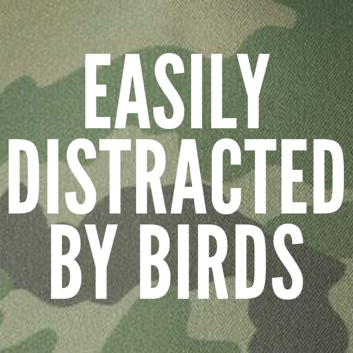 Easily Distracted By Birds Legacy Tie Dye Trucker Hat