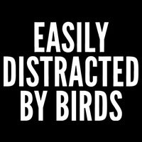 Easily Distracted By Birds Hoodie