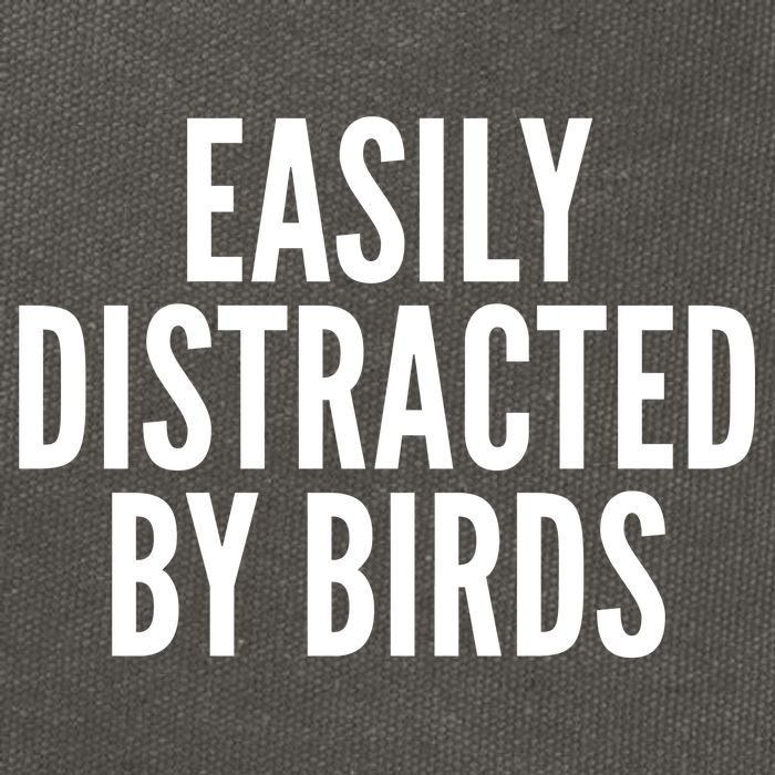 Easily Distracted By Birds Cotton Canvas Backpack