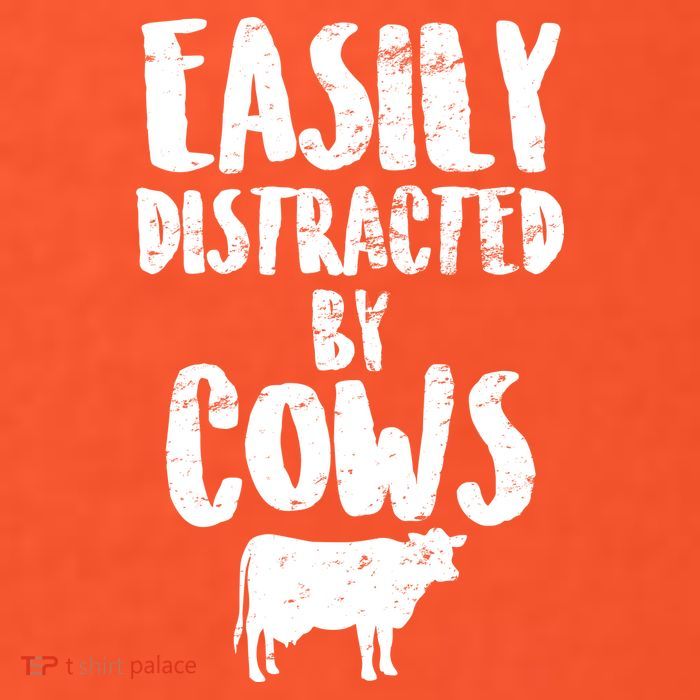 Easily Distracted By Cows T-Shirt