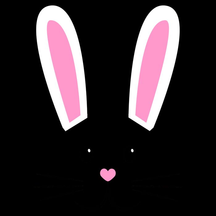 Easter Bunny Big Face Rabbit Cropped Pullover Crew