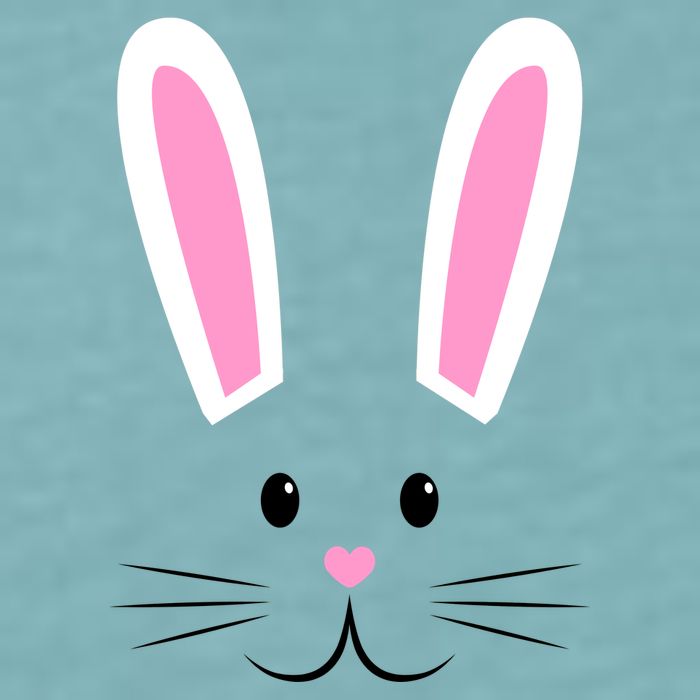 Easter Bunny Big Face Rabbit Sueded Cloud Jersey T-Shirt