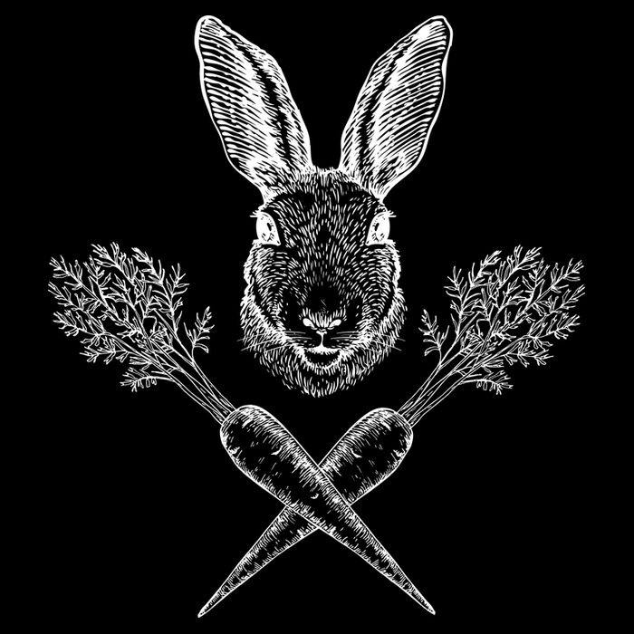 Easter Bunny Carrot Crossbones Hoodie