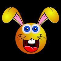Easter Bunny Simley Emoji Baseball Sleeve Shirt