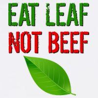 Eat Leaf Not Beef Funny Vegetarians Wool Snapback Cap