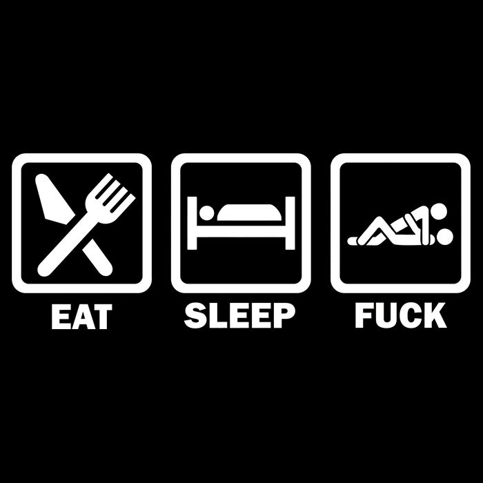 Eat Sleep Fuck Hoodie