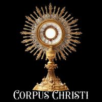 Eucharistic Adoration Traditional Latin Mass Catholic 16 in Basic Backpack
