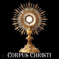 Eucharistic Adoration Traditional Latin Mass Catholic Premium T-Shirt