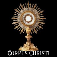 Eucharistic Adoration Traditional Latin Mass Catholic Hoodie
