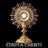 Eucharistic Adoration Traditional Latin Mass Catholic Premium T-Shirt