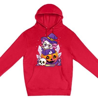 Enchanting Axolotl Witchcraft Halloween Pastel Goth Premium Pullover Hoodie